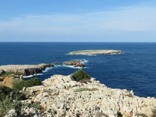 View from Cap Cavalleria