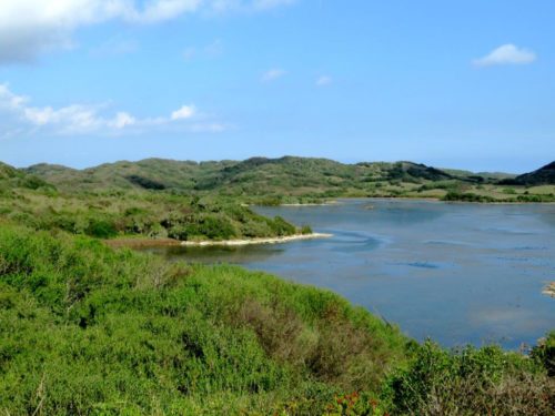 Albufera Es Grau