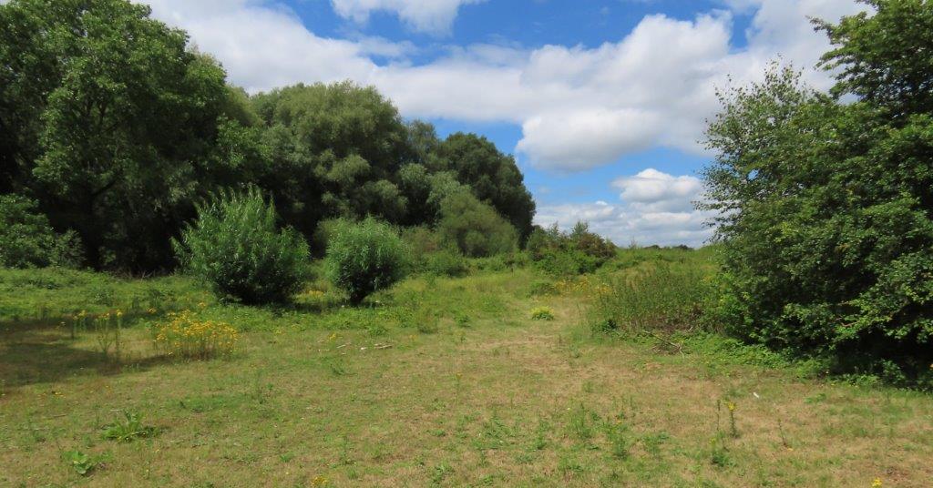 Brandon Marsh Nature Reserve Photography Event